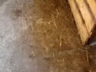 Je sens pas l'truc xD