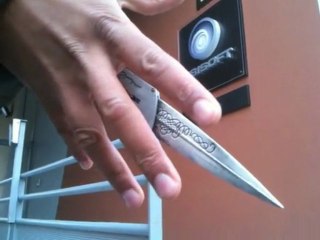 Nous sommes tous des Assassins...