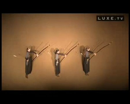 L'académie du spectacle équestre à Versailles