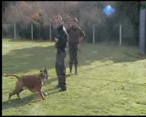 Stage R.C.I  JEROME CAVELIER