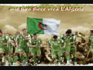 l'algerino by momo chaoui