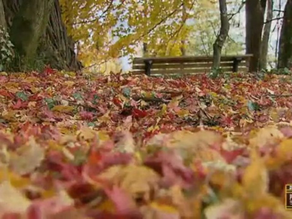 Innsbruck Herbstbilder - A Fall day in Tyrol Austria