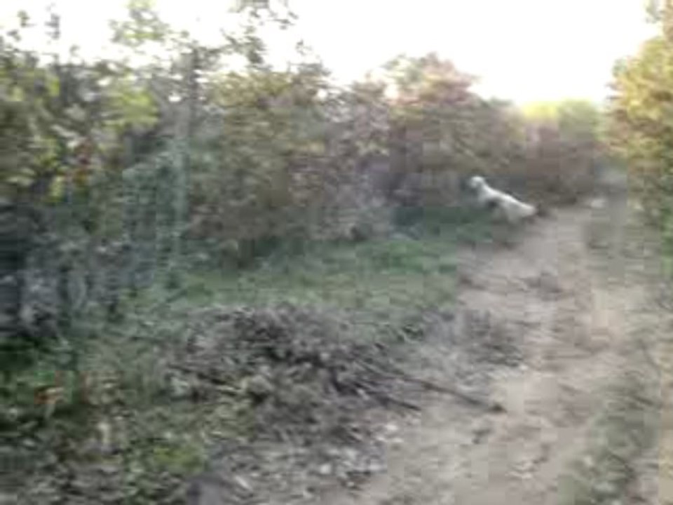 MOV07151