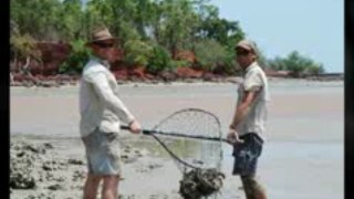 Traditional Australian Mud Crabbing