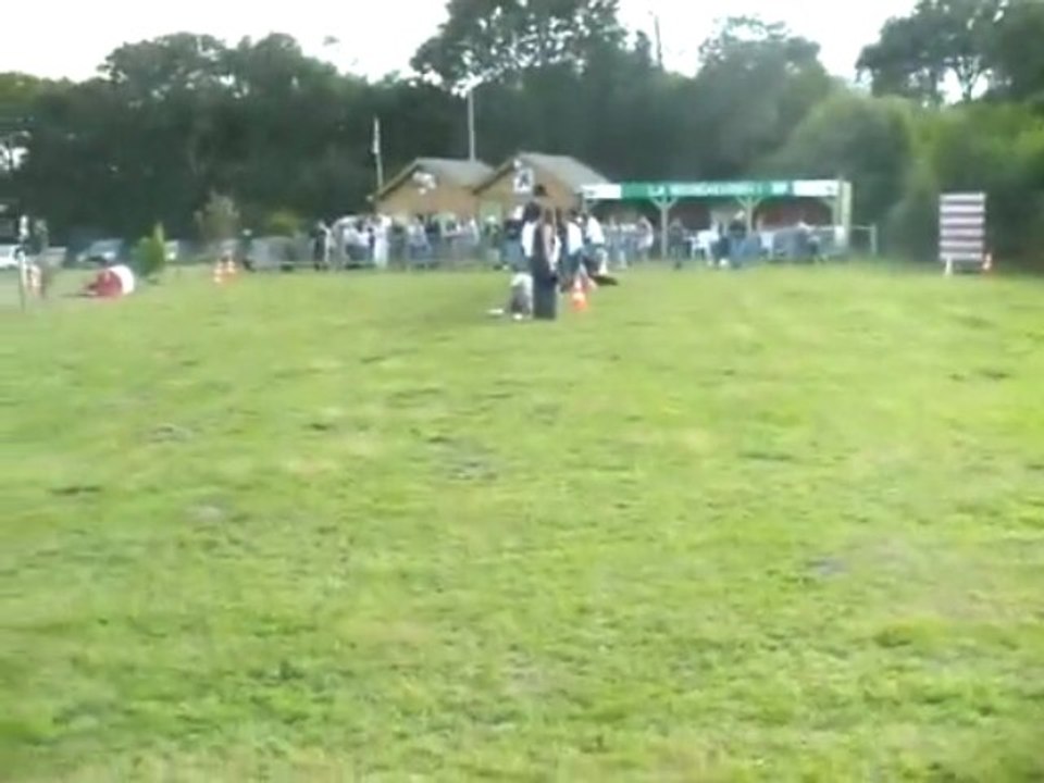 Anniversaire du club canin "la récré@chien"