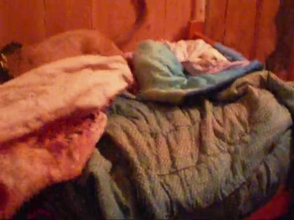 les conneries des loulous