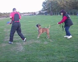 Stage  R.C.I   JEROME CAVELIER