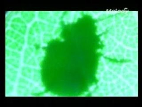 Francis Cabrel - Le Reste Du Temps