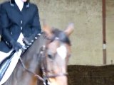 concours dressage ecurie d escazalou