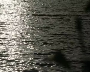 Du time-lapse version nature!