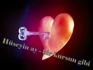 hüseyin ay - sevgilim