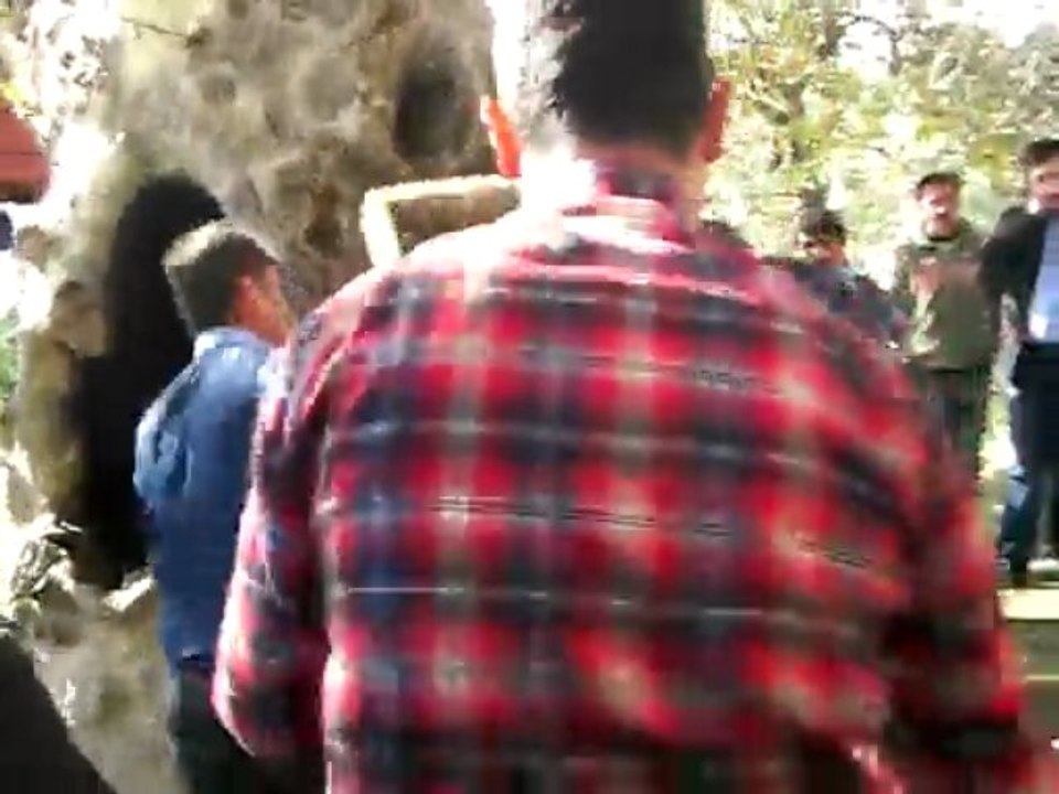 Eğlence 12