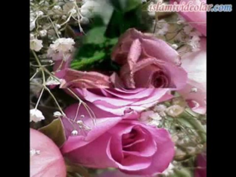 Dursun Ali ERZİNCANLI - Ensar