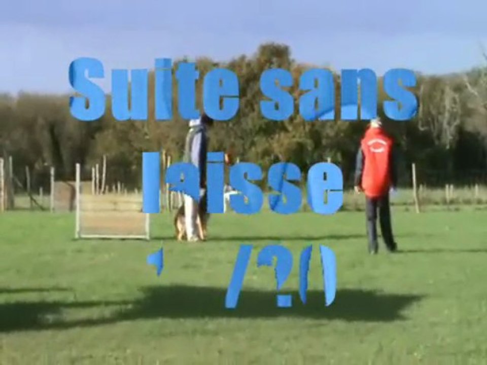 Uhlanechampionnat