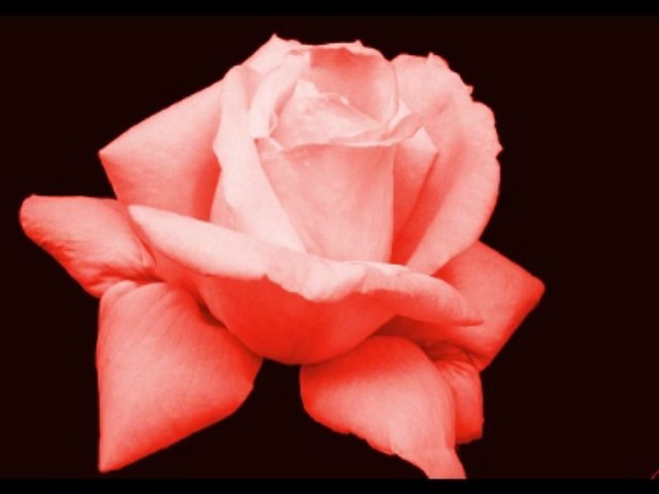 Evelyne Georges Chelon