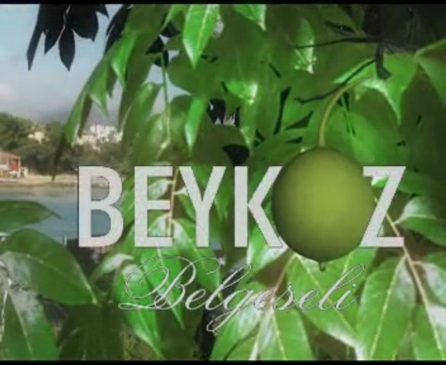 Beykoz Belgeseli