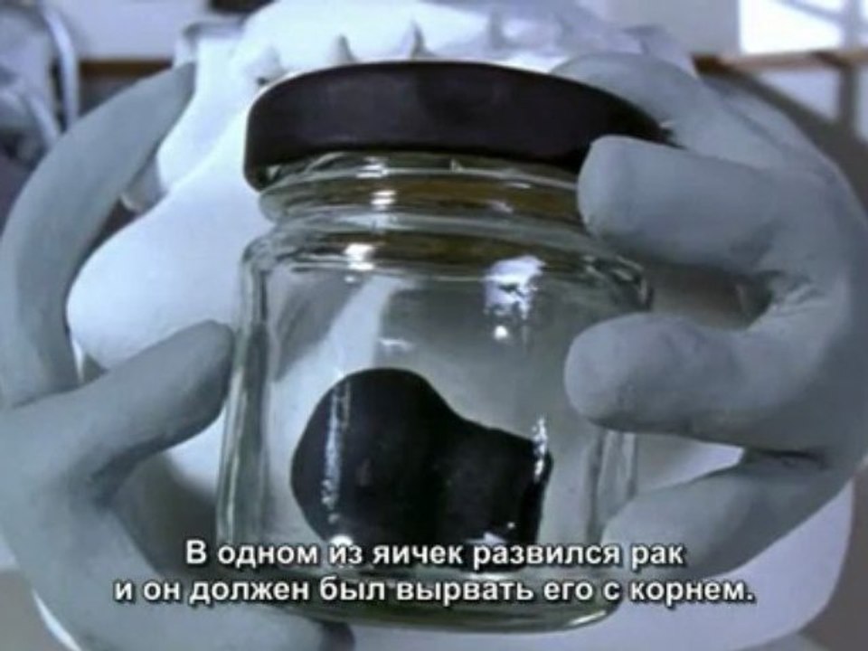 Харви Крампет