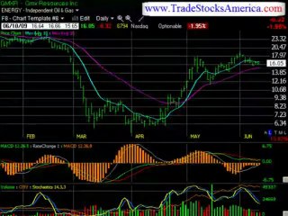 Stock Exchange Newsletters