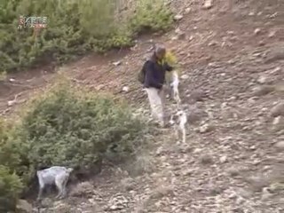 FİKRET BAĞCI TAVŞAN AVI