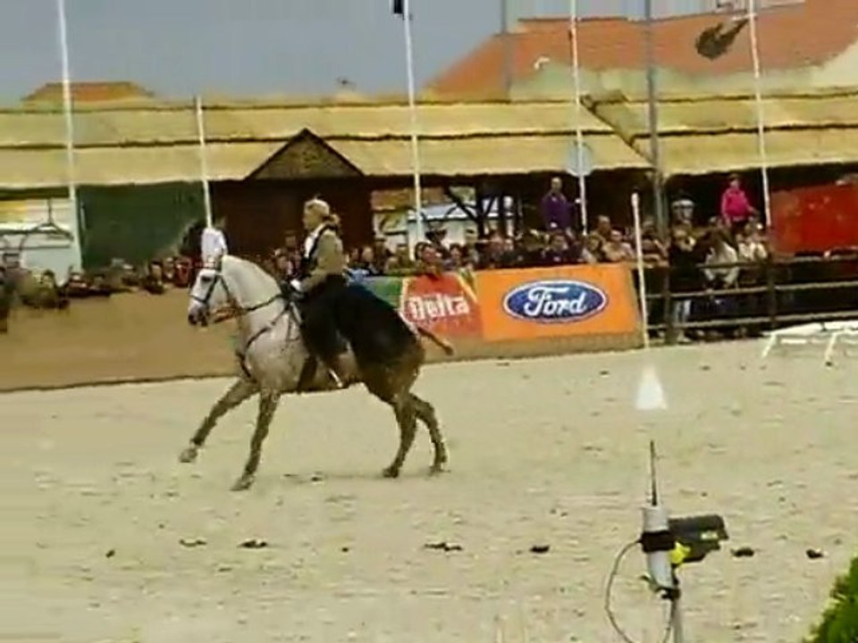 Golegã 2009 - Equitaçao de trabalho : Velocidade (2)
