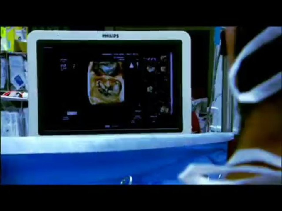 Carchatte répare, Carchatte remplace !