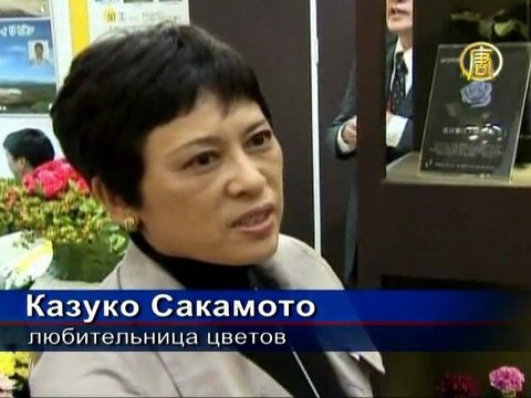 Синие розы создали японские генетики