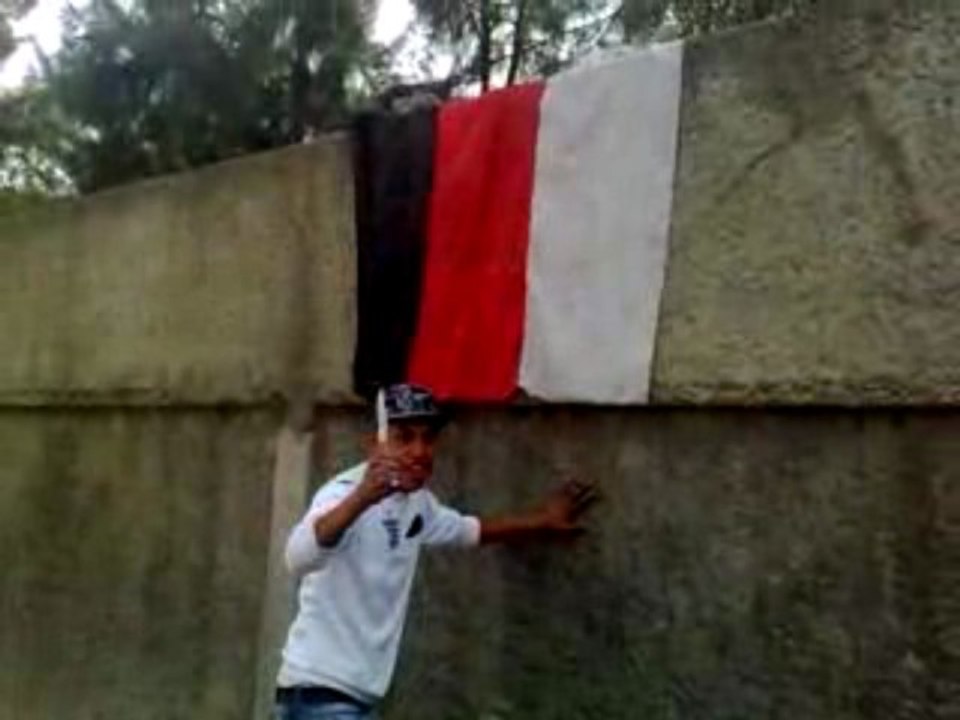 Tadmait algerie vs egyptchien desolé pour les vrais CHIENS