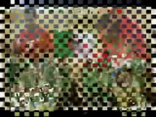 clip Aglerien :dédicace  des verts au  peuple egyptien