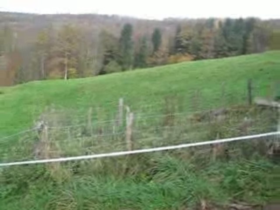 terrain