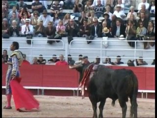 Tendido Sud du mercredi 18 novembre 2009