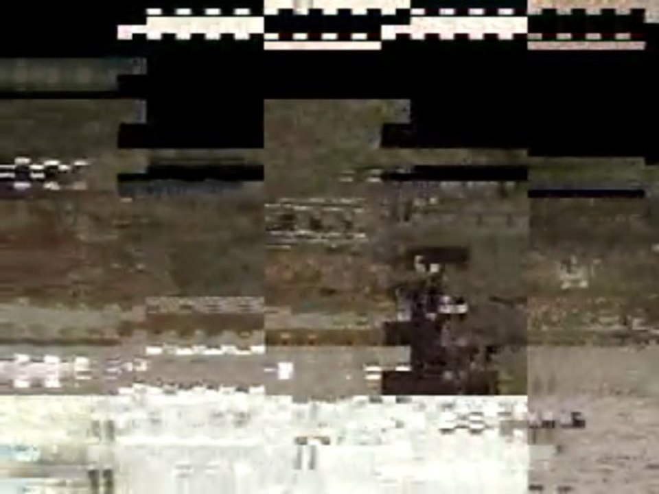 Ecurie du Nevez Poème du Lys