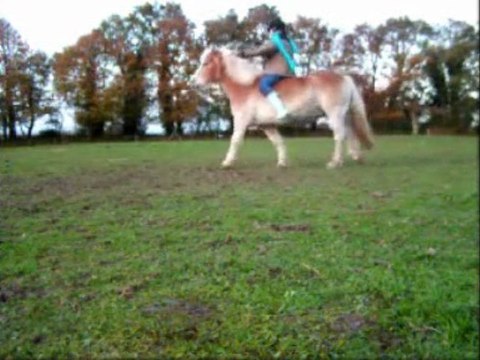 Séance liberté équi'feel Kenzo
