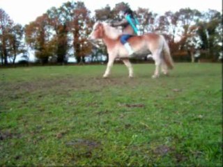 Séance liberté équi'feel Kenzo