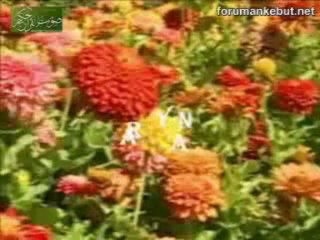 Cevat Farugi Tekvir iran  www.forumankebut.net