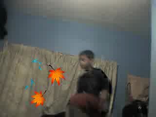 Pedigree and batista bomb