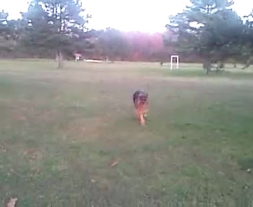 Zak1