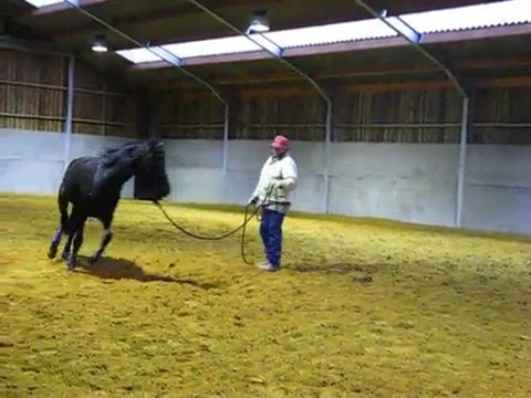 vidéo ulys cours ben 008