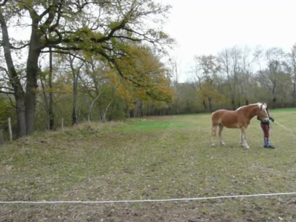 PM15novembre2009