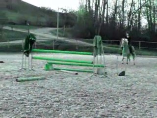 Cours de saut au Rocmet