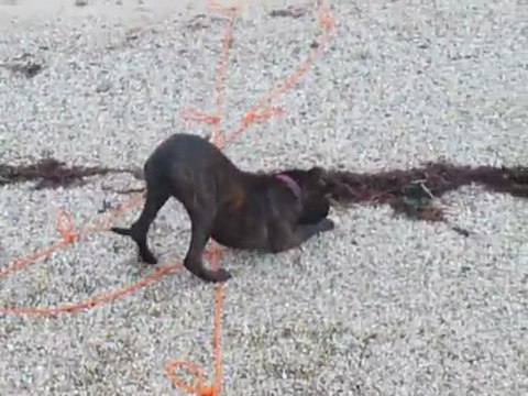 EWANE en bord de mer vol.3