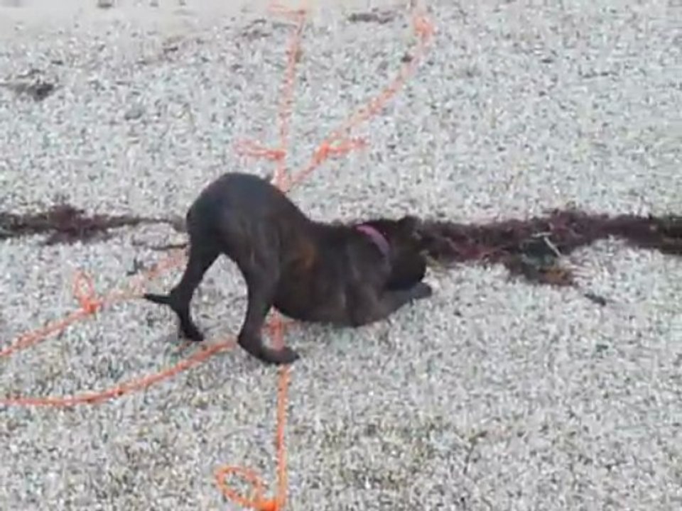 EWANE en bord de mer vol.3