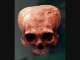 Strange Ancient skulls of Aliens or Humans (most coneheads)
