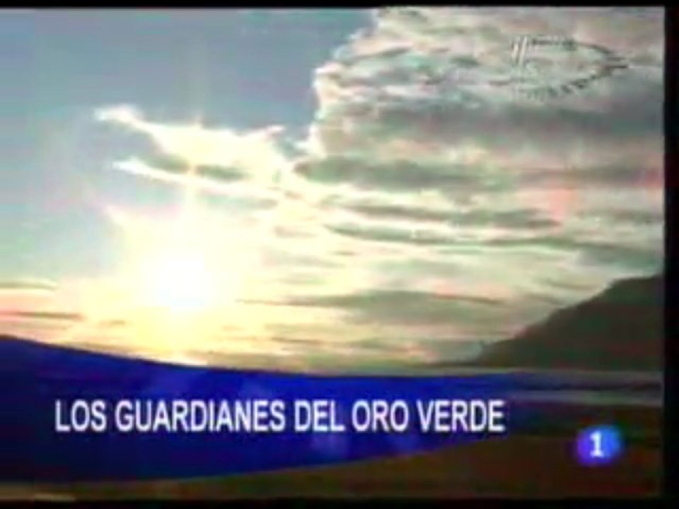 Poyecto arca de noe