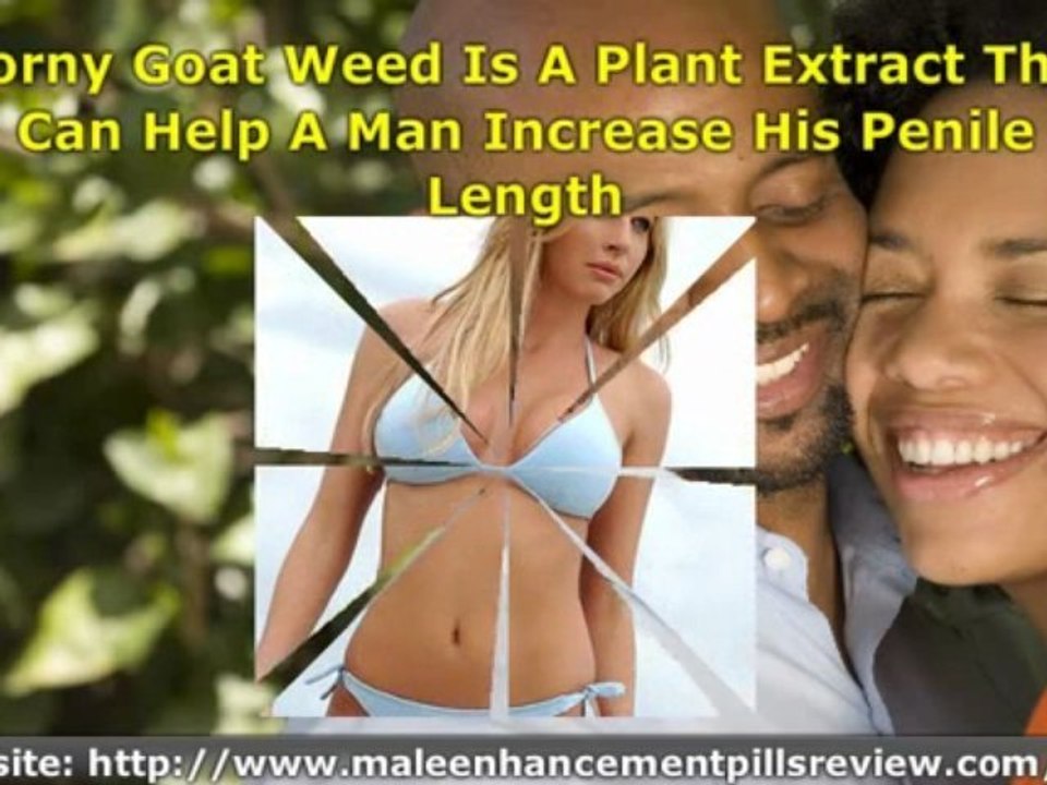 Male Enhancement Pills Like Virility Ex Increase Penis Size