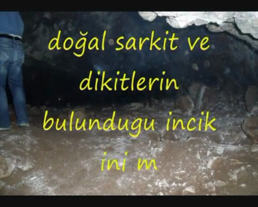 divle_0001