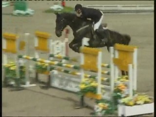 CD QT Cheptel Merlot