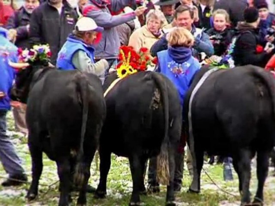 Sujet Quittez les hauteurs © La Vaka 2009