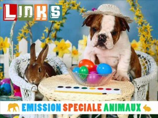 Kronik spéciale animaux Links Radio