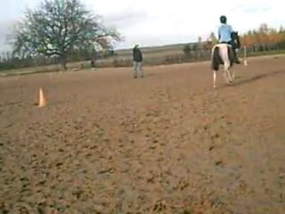 PCBC Allez Les Verts Teksab