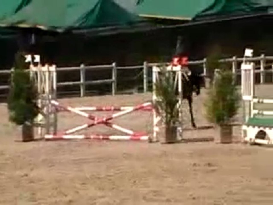 Ravel Pompadour 2009